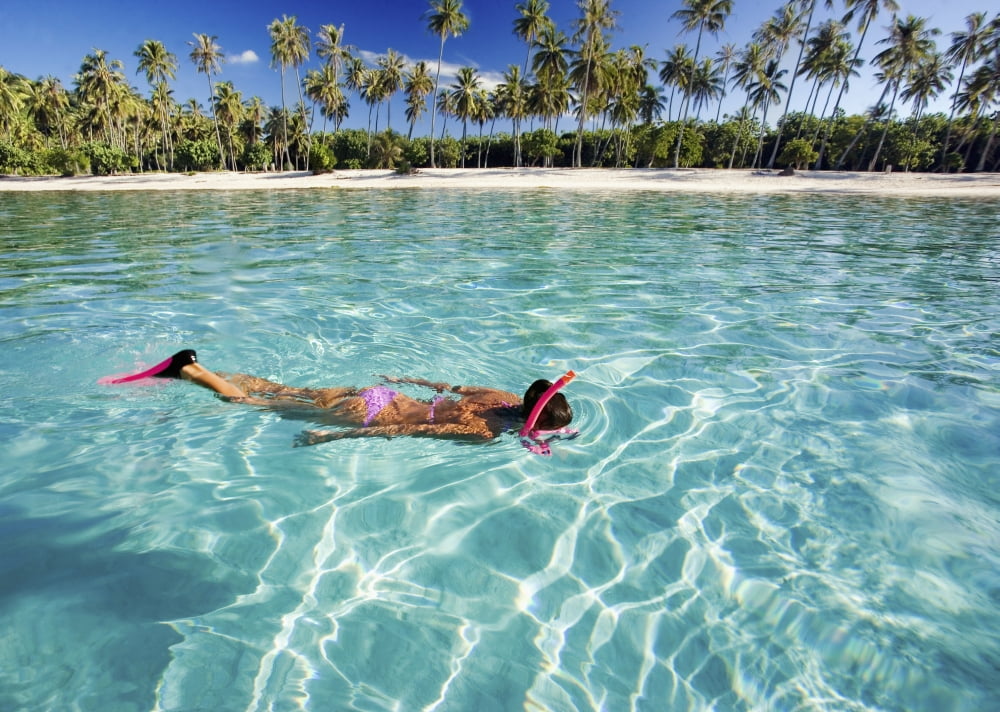 French Polynesia Moorea Woman Free Diving In Turquoise Ocean Canvas Art - M Swiet Productions Design Pics (36 x 26)