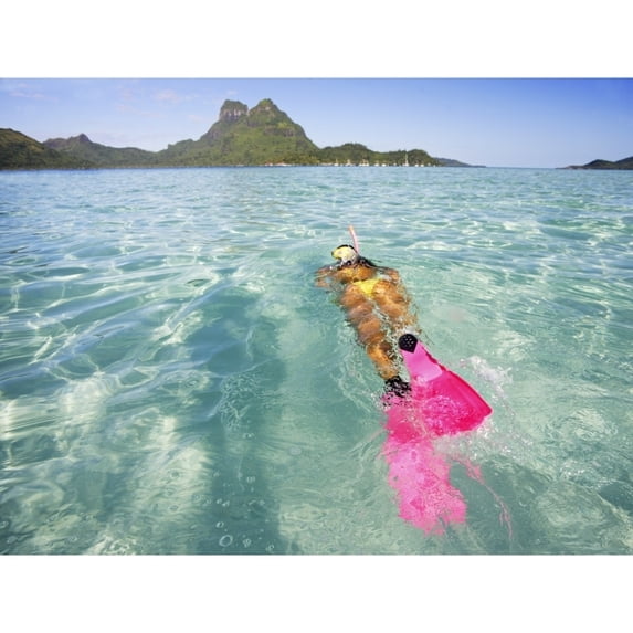 French Polynesia, Moorea, Woman Free Diving In Turquoise Ocean. Poster Print (18 x 13)