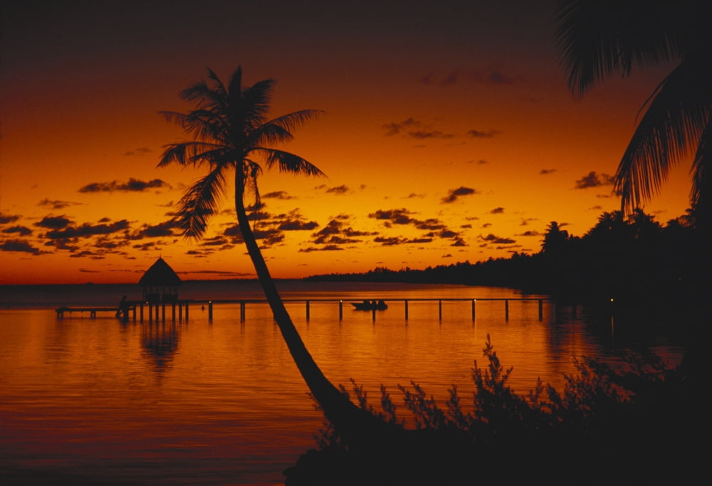 French Polynesia Rangiroa Bungalows At Sunset Silhouetted Palm Trees Canvas Art - Peter Stone Design Pics (36 x 24)