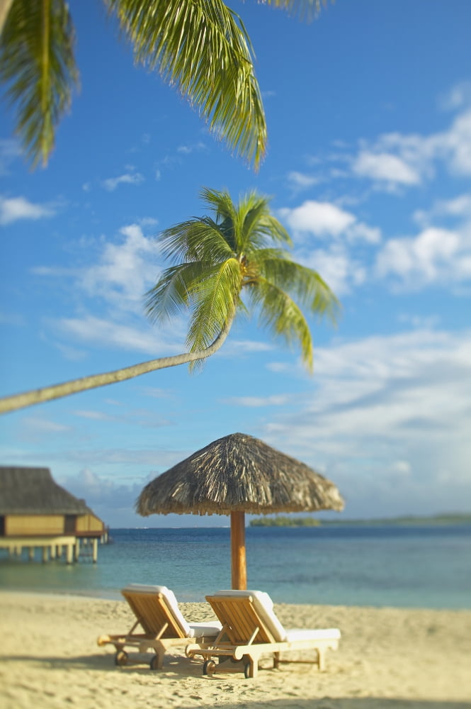 French Polynesia Tahiti Bora Bora Lounge Chairs And Thatch Umbrella On Beach With Tranquil Ocean And Bungalows Canvas Art - Kyle Rothenborg Design Pics (24 x 38)