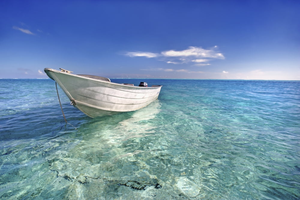 French Polynesia Tahiti Bora Bora White Boat Floating On Turquoise Water Canvas Art - M Swiet Productions Design Pics (19 x 12)