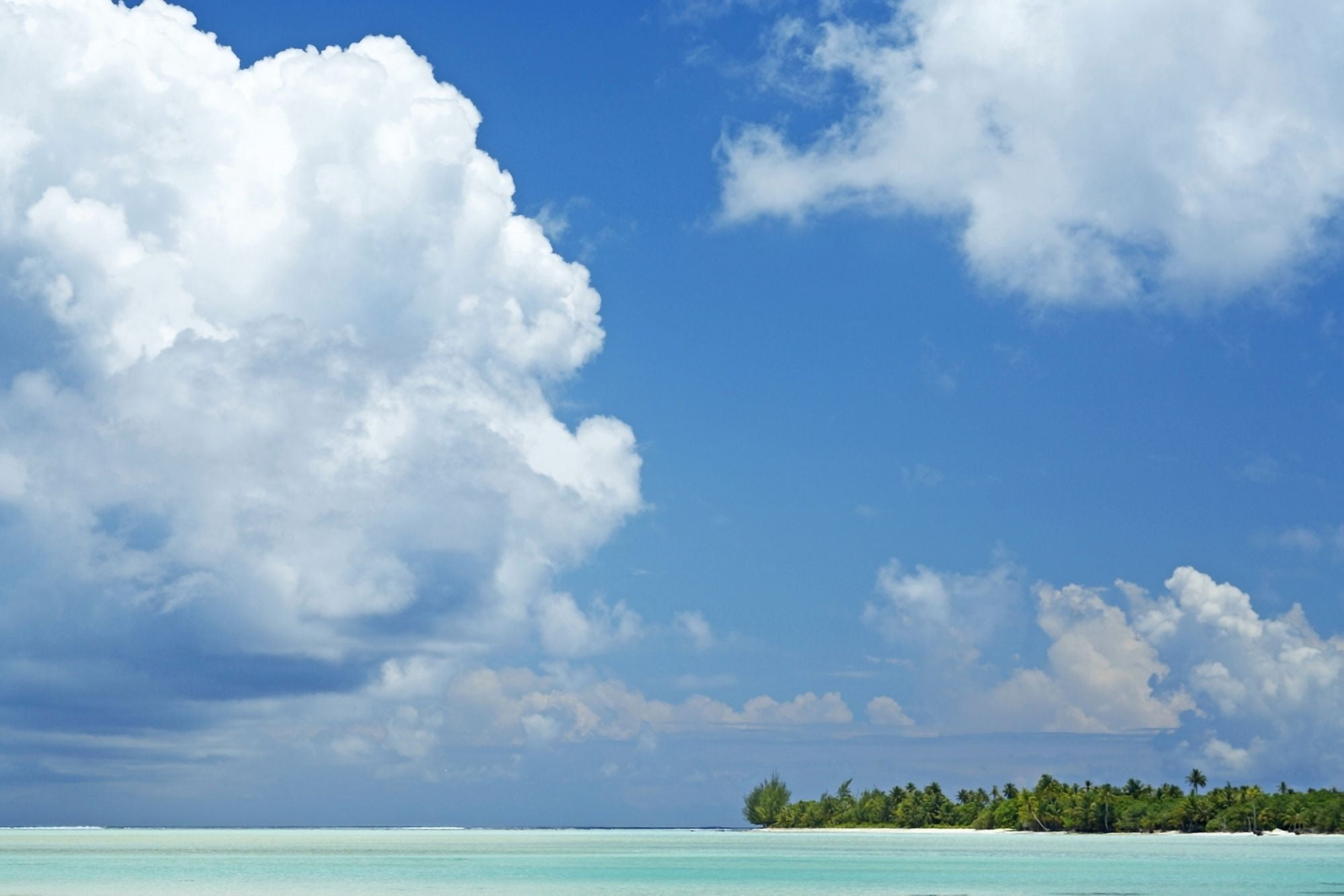 French Polynesia Tahiti Lagoon Beach With Blue Sky Maupiti Canvas Art - Kyle Rothenborg  Design Pics (34 x 22)
