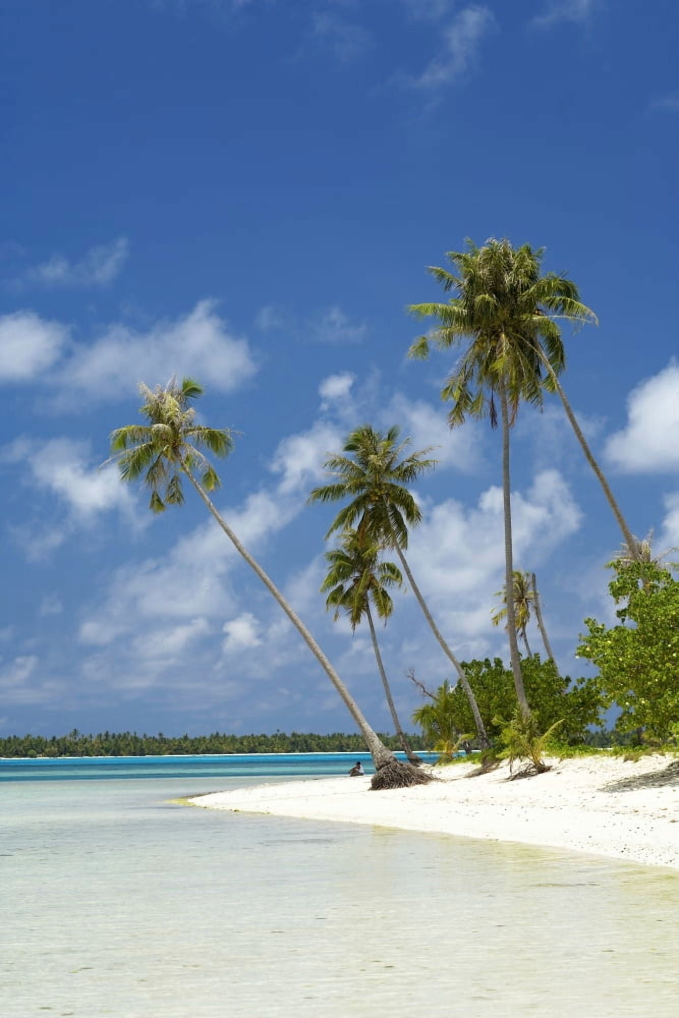 French Polynesia Tahiti Lagoon Beach With Palms Trees and Blue Sky Maupiti Canvas Art - Kyle Rothenborg Design Pics (11 x 17)