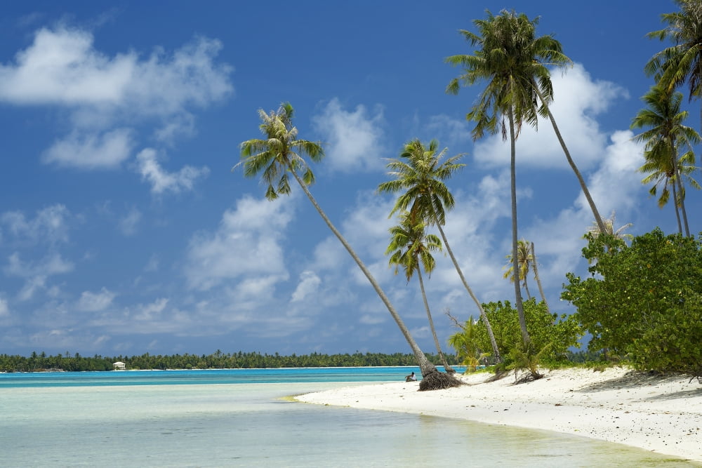 French Polynesia Tahiti Lagoon Beach With Palms Trees and Blue Sky Maupiti Canvas Art - Kyle Rothenborg Design Pics (17 x 11)