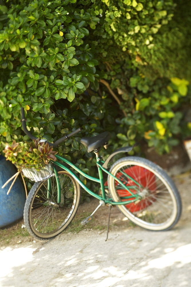 French Polynesia Tahiti Maupiti Bicycle Parked Under Tree Canvas Art - Kyle Rothenborg Design Pics (11 x 17)