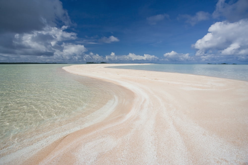 French Polynesia Tahiti Rangiroa Pink Sands Beach Canvas Art - M Swiet Productions Design Pics (38 x 24)