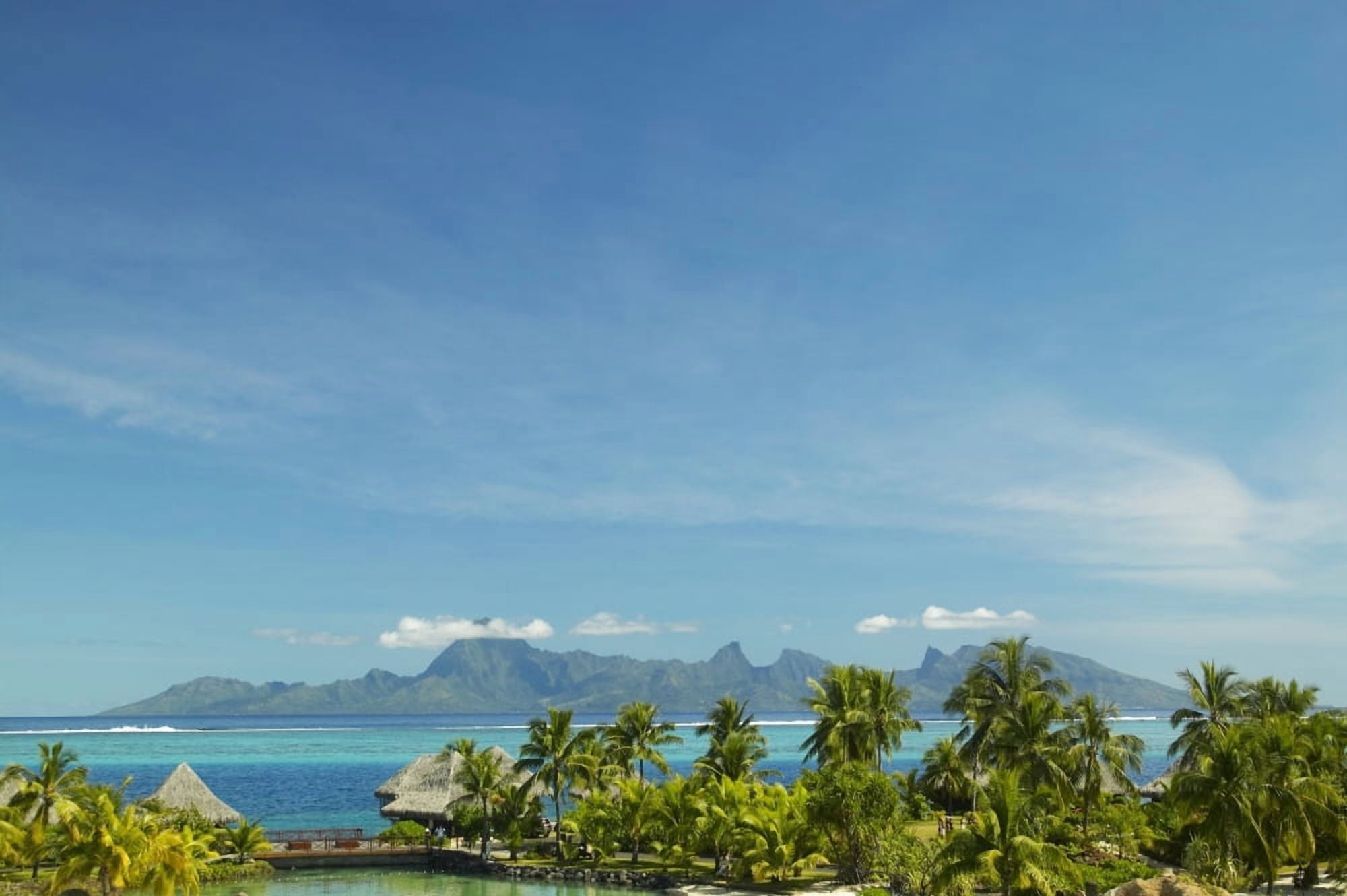 French Polynesia Tahiti View Of Moorea Across Turquoise Ocean Palm Trees And Grass Huts In Foreground Canvas Art - Kyle Rothenborg Design Pics (19 x 13)