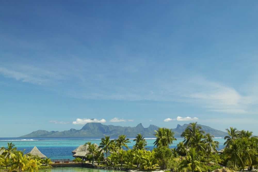 French Polynesia Tahiti View Of Moorea Across Turquoise Ocean Palm Trees And Grass Huts In Foreground Canvas Art - Kyle Rothenborg Design Pics (38 x 26)
