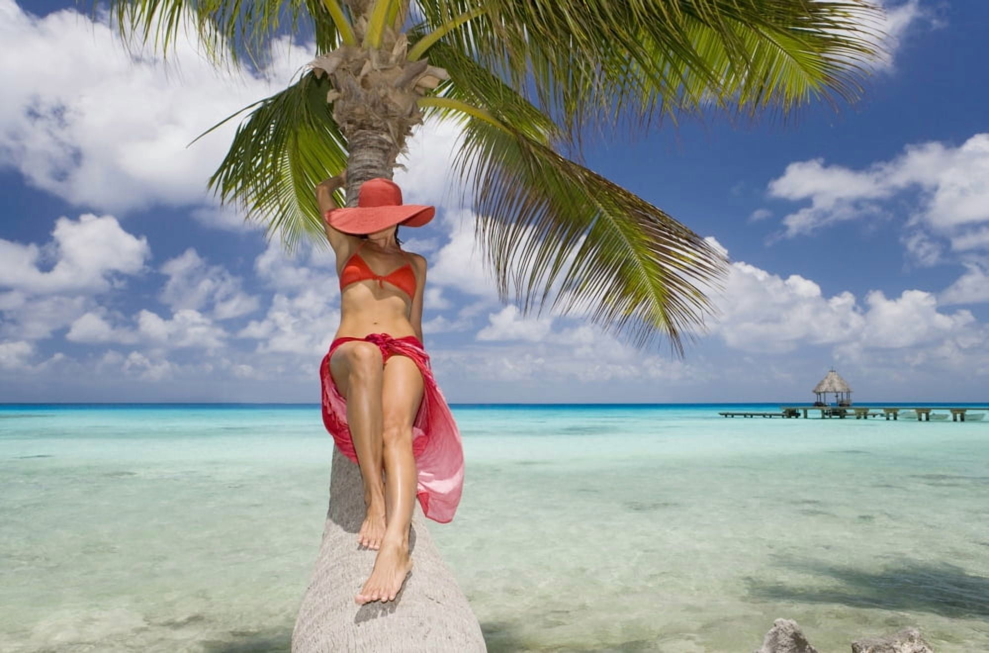 French Polynesia Tahiti Woman Relaxing On Palm Tree Trunk Overhanging Tropical Ocean Canvas Art - M Swiet Productions Design Pics (18 x 11)