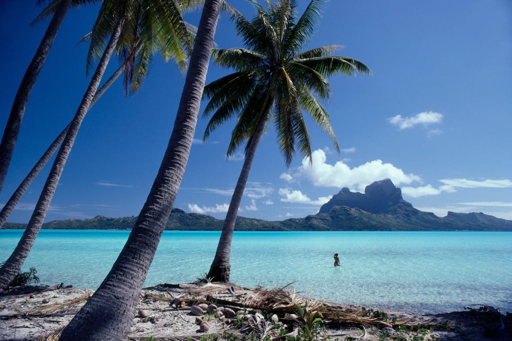 French Polynesia Tahitian Coast Scene Lovely Woman In Water Canvas Art - David Cornwell Design Pics (19 x 12)