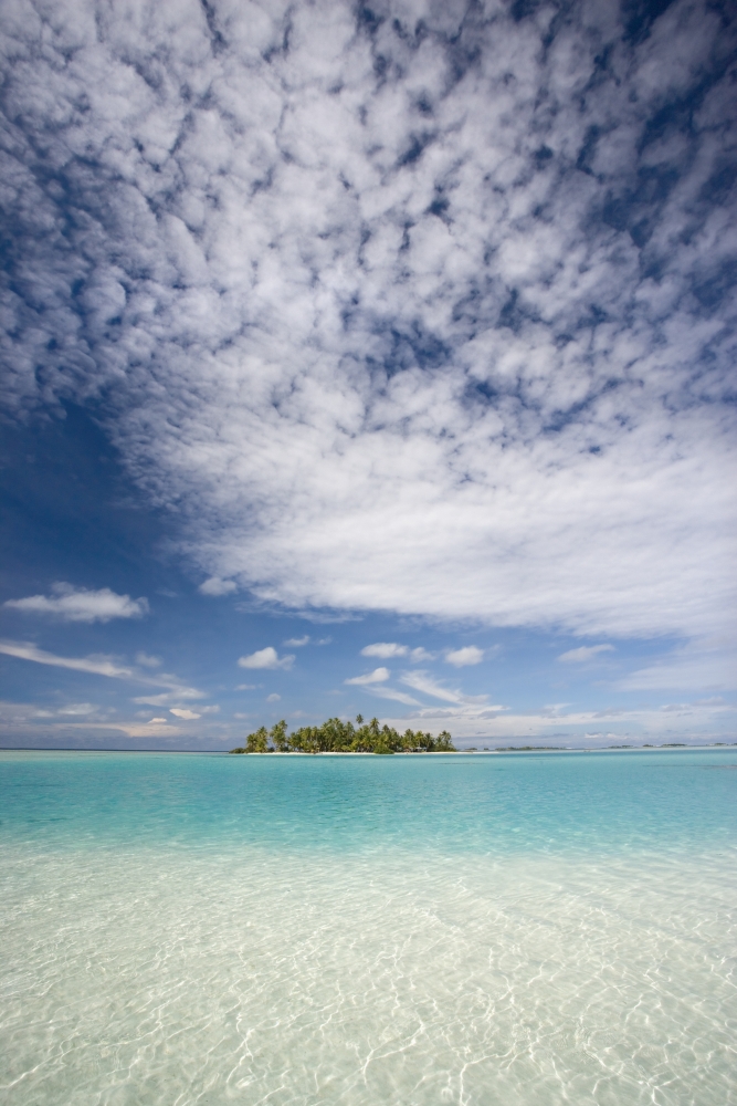 French Polynesia Tuamotu Islands Rangiora Turquoise Water And Blue Skies Surround Isolated Isalnd Canvas Art - M Swiet Productions Design Pics (11 x 17)