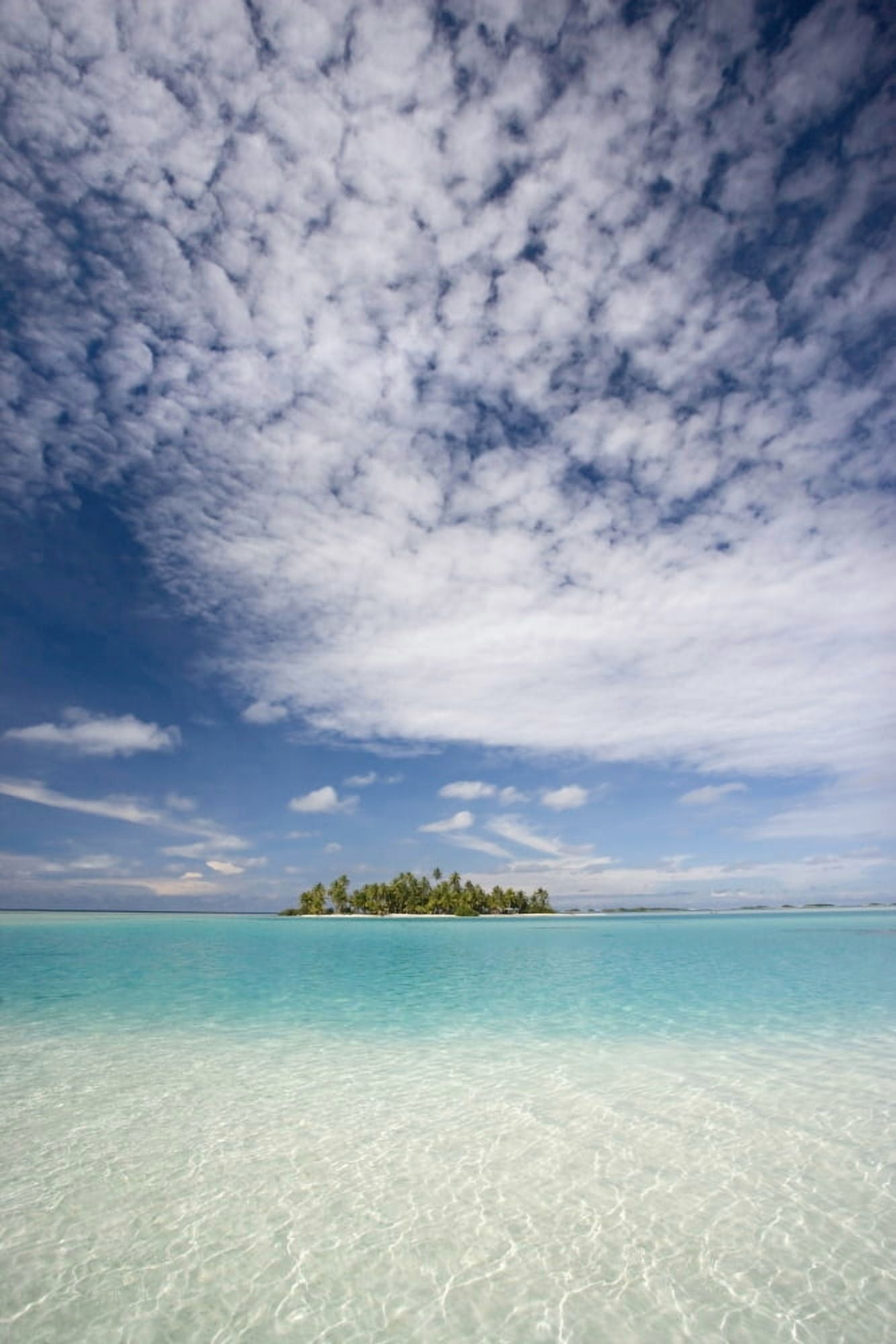 French Polynesia Tuamotu Islands Rangiora Turquoise Water And Blue Skies Surround Isolated Isalnd Canvas Art - M Swiet Productions Design Pics (22 x 34)