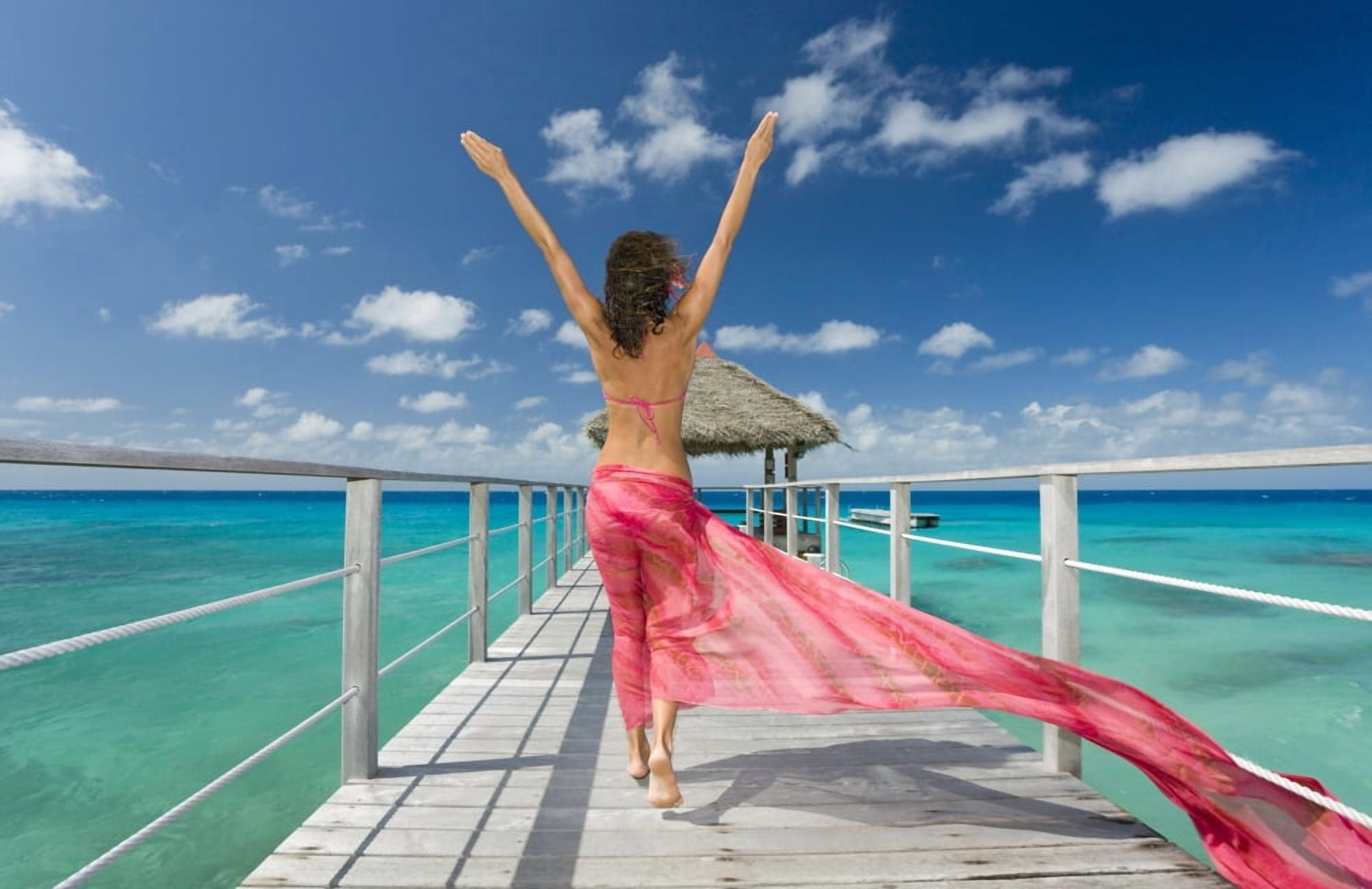 French Polynesia Tuamotu Islands Rangiroa Atoll Woman Walking Down Ocean Pier Wearing Pink Pareo View From Behind Canvas Art - M Swiet Productions Design Pics (18 x 12)