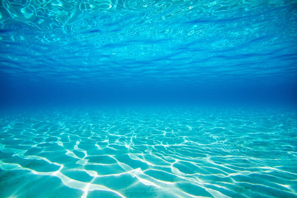 French Polynesia Underwater Sandy Bottom And Surface Reflection Canvas Art - M Swiet Productions Design Pics (19 x 12)