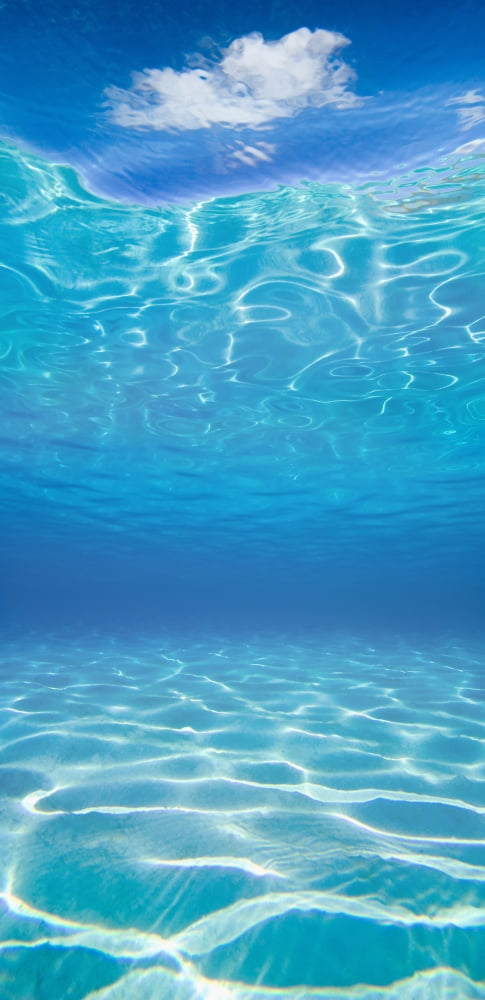 French Polynesia Underwater Sandy Bottom And Surface Reflection With Cloud Canvas Art - M Swiet Productions Design Pics (12 x 24)