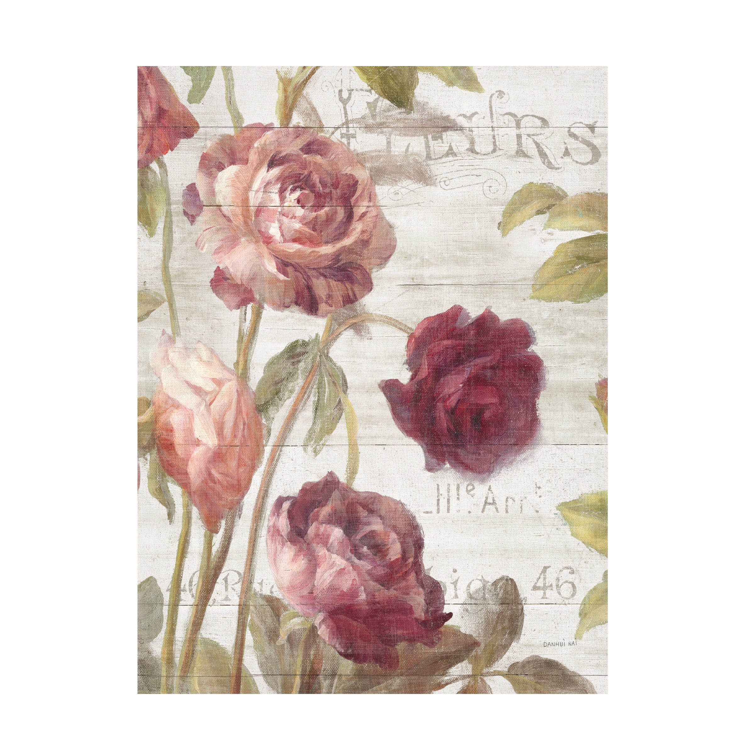 French Roses II' Canvas Art by Danhui Nai