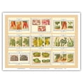 thumbnail image 1 of French Seed Packet Collage - Denaiffe and Son - Vintage Seed Packet c.1910s - Master Art Print (Unframed) 9in x 12in, 1 of 4