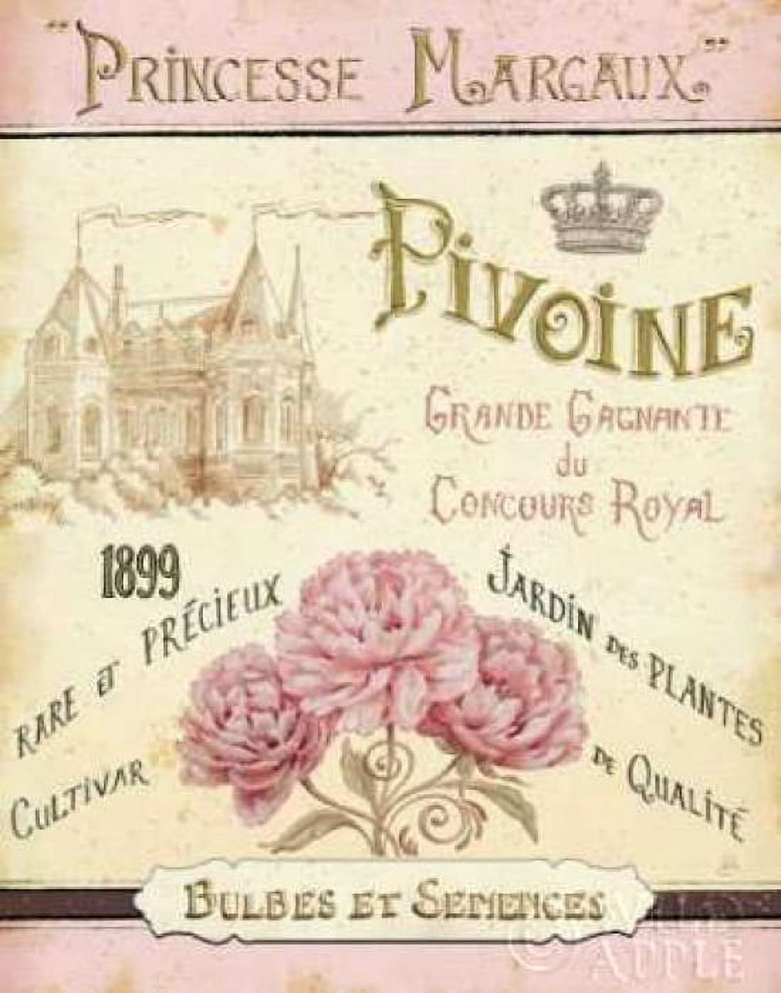 French Seed Packet III Canvas Art - Daphne Brissonnet (22 x 28)