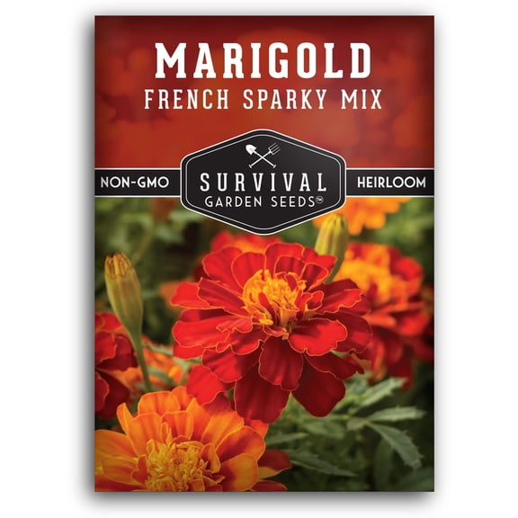 French Sparky Mix Marigold Seed - Heirloom Full Sun Annual Flower - 1 Pack