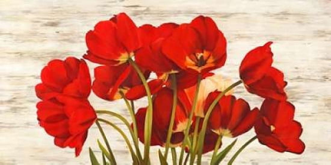 French Tulips Canvas Art - Serena Biffi (24 x 48)