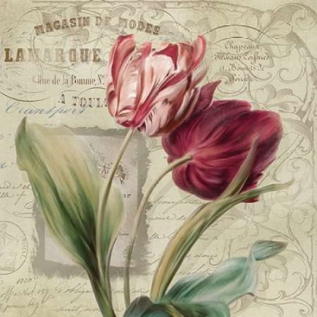 French Tulips I Canvas Art - Carol Robinson (24 x 24)