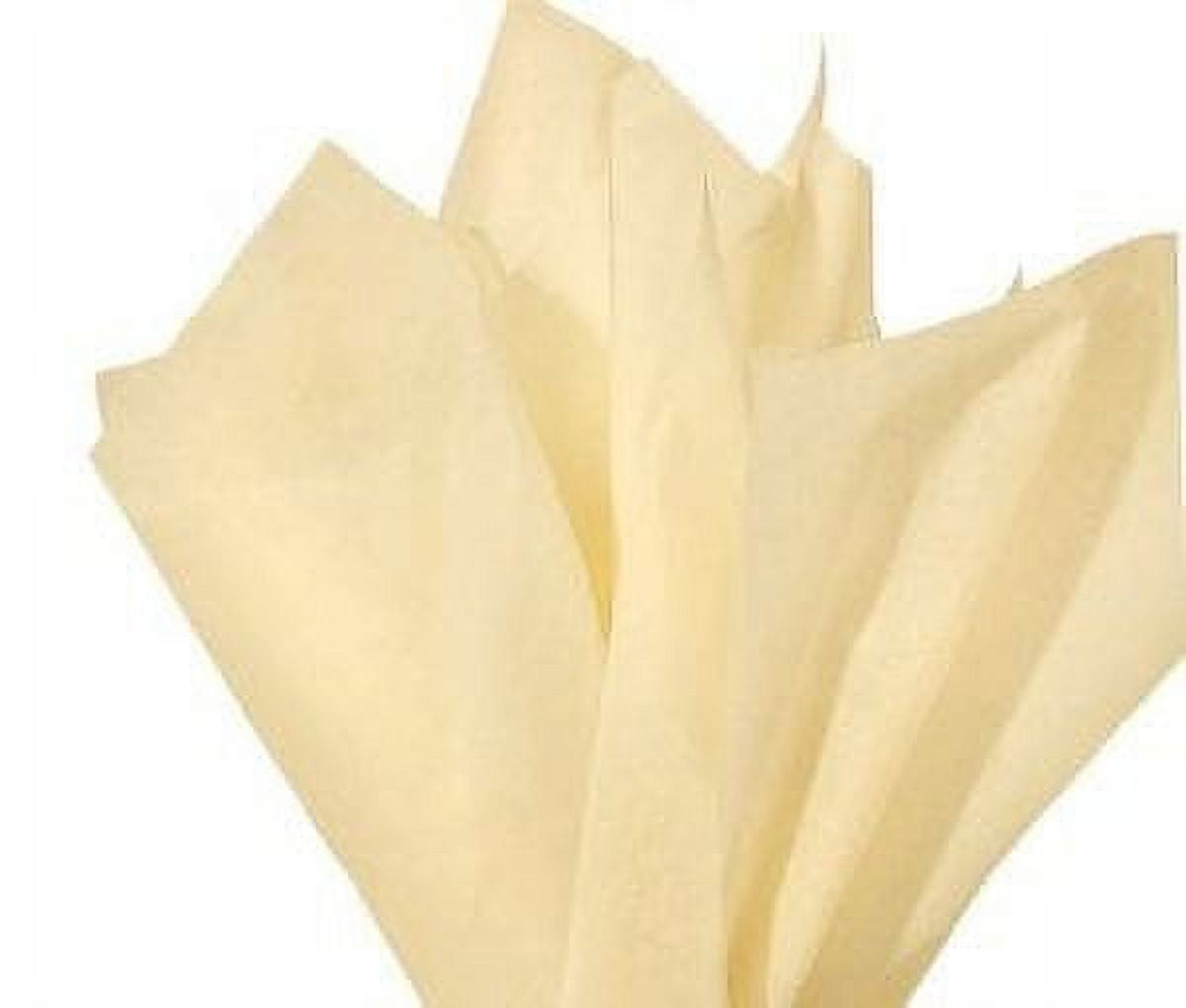 Paper Mart 480ea 20 inch X 30 inch Quire Fold Premium Matte Kraft Tissue Paper