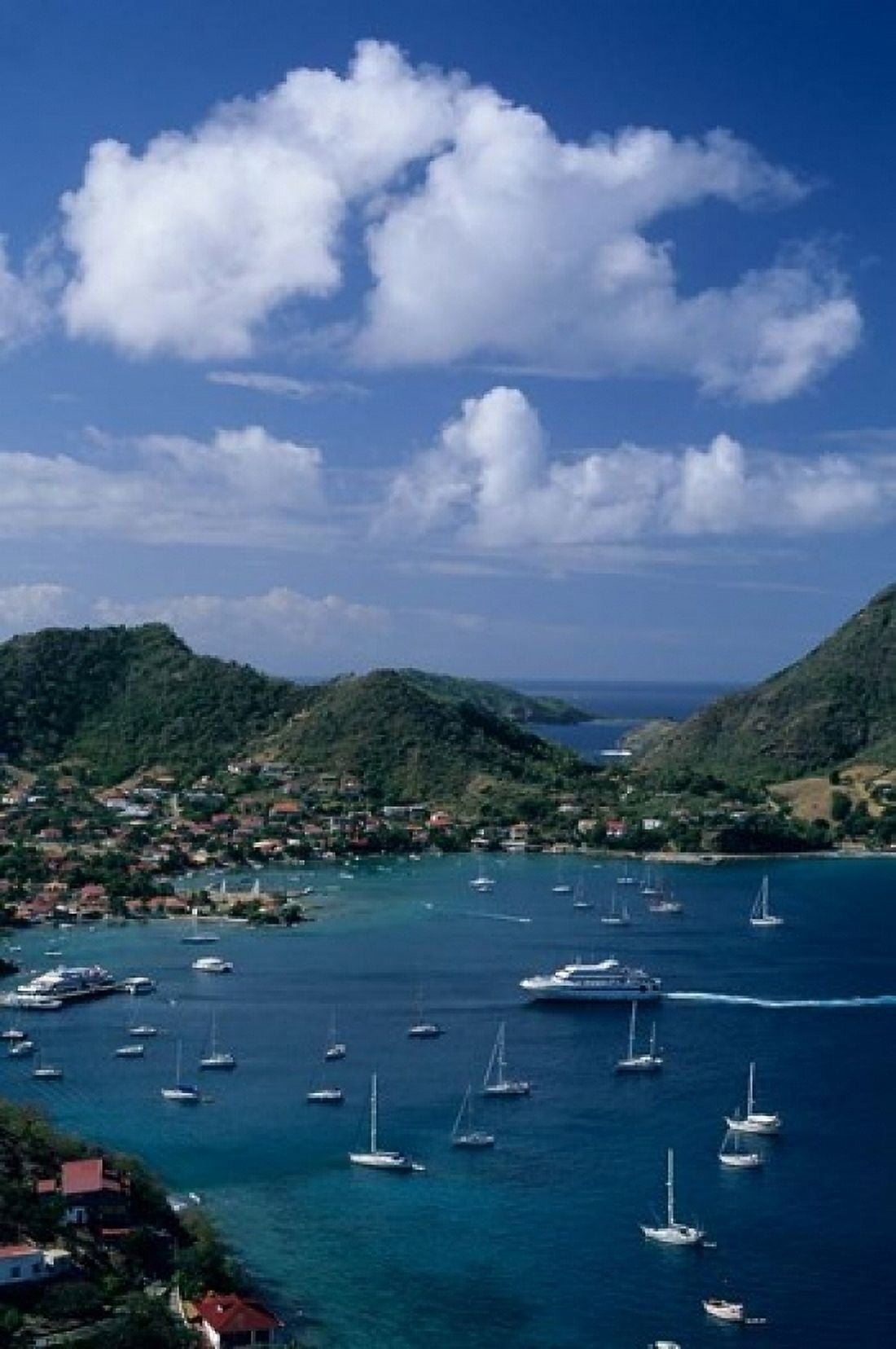 French West Indies Isle des Saintes Bourg harbor Canvas Art - Kevin Schafer DanitaDelimont (24 x 36)