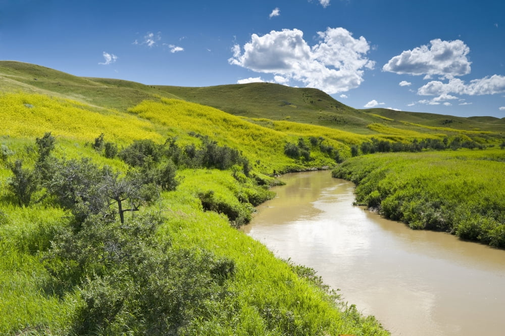 Frenchman River In West Block Of Grasslands National Park Saskatchewan Canada Canvas Art - Dave Reede Design Pics (18 x 12)