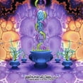 thumbnail image 1 of Frequency Evolution (CD), 1 of 1