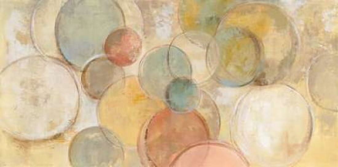 Fresco Bubbles Canvas Art - Silvia Vassileva (24 x 48)