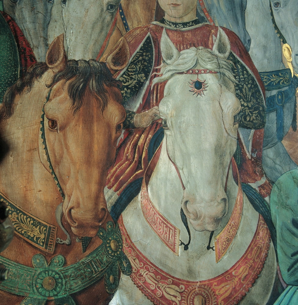 Frescoes Of The Chapel Of The Magi Canvas Art - (24 x 36)