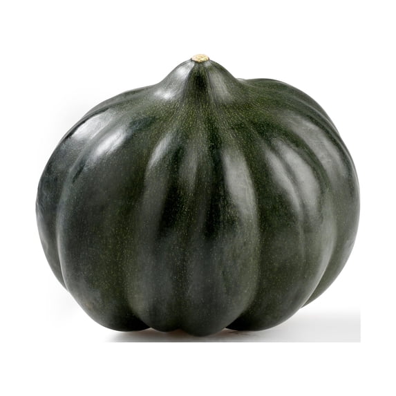 Fresh Acorn Squash, Each