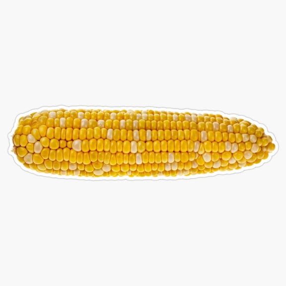 Fresh Autumn Garden Corn On The Cob Golden Yellow Grain Agriculture Icon Decal For Hydroflask Sticker