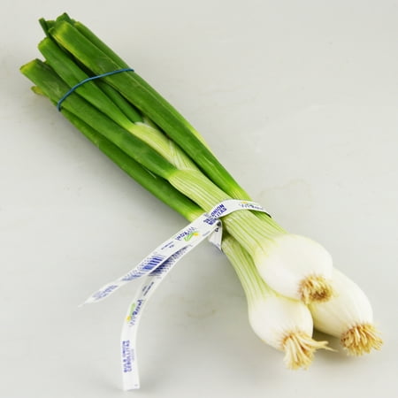 Freshly Harvested BBQ Green Onions, 1 Bunch
