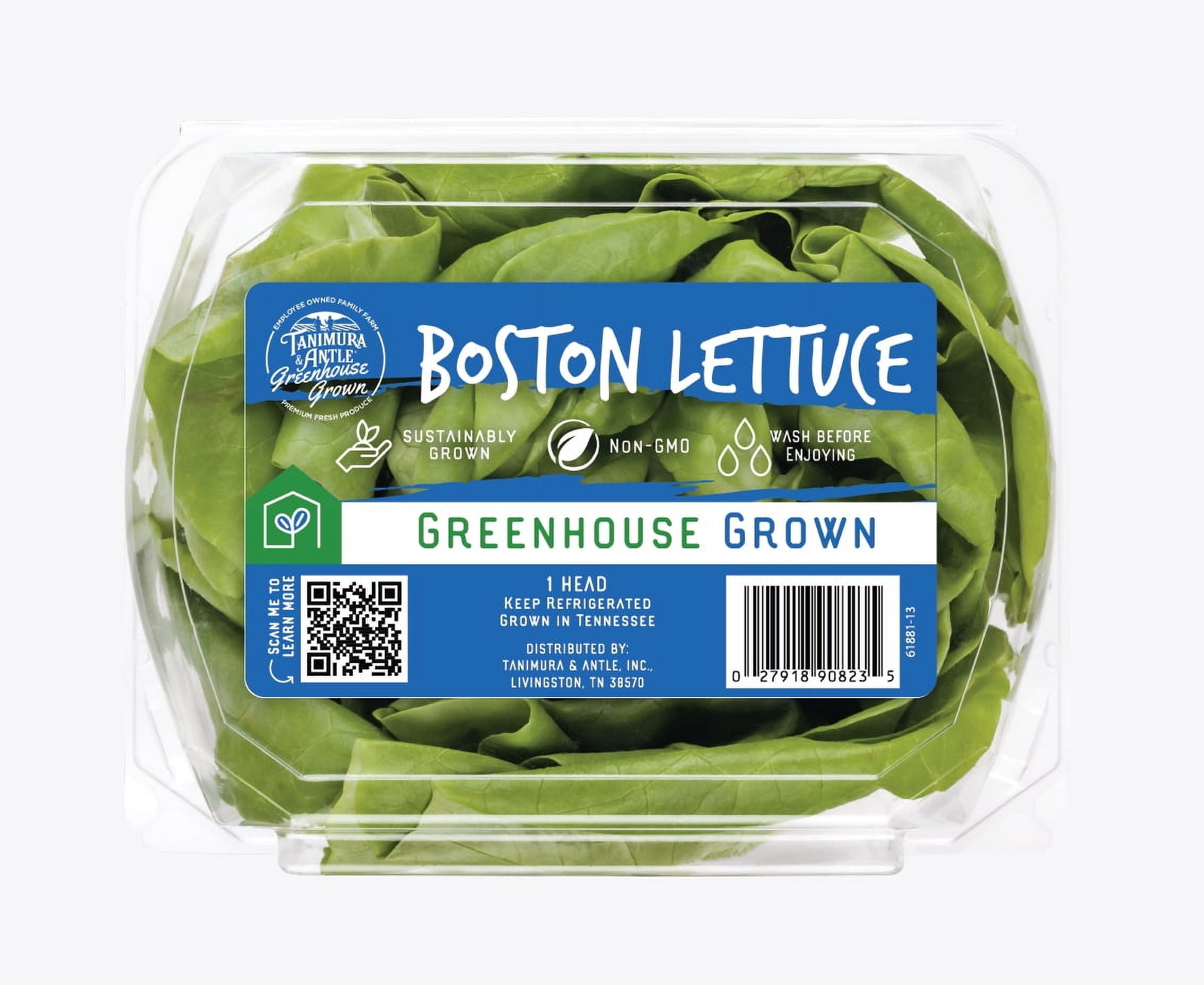 Fresh Butter Lettuce, Each