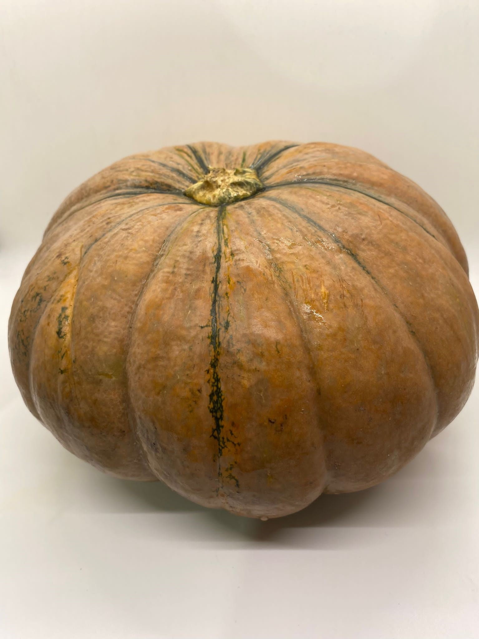 Fresh Calabaza Squash, whole by weight