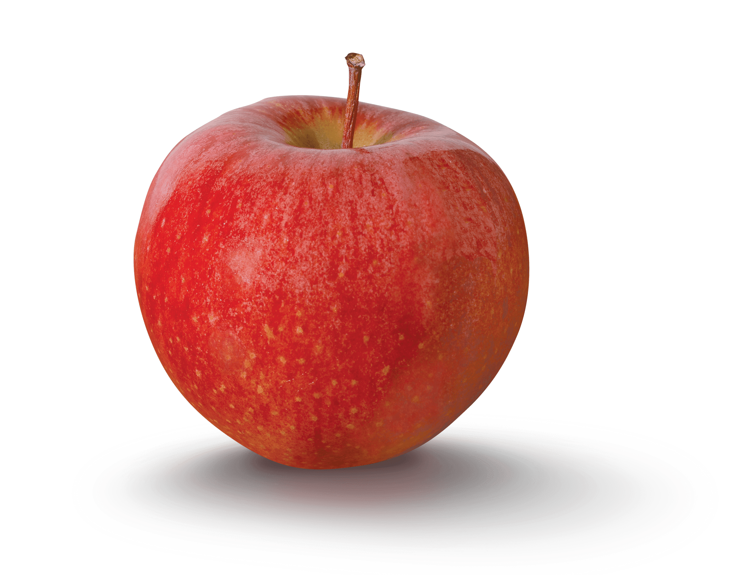 Fresh Cameo Apples, Each