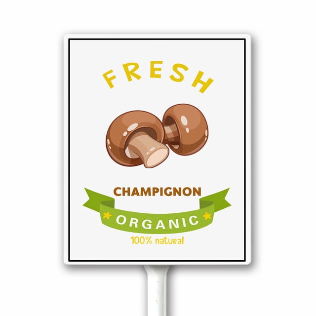 40 Champignons Décoratifs En Mousse - Diamètre 1.5cm, Réalistes, Pour Mini-jardin, Plantes En Pot