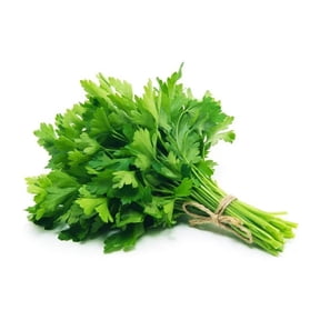 Fresh Whole Green Cilantro Bunch, Fresh Produce