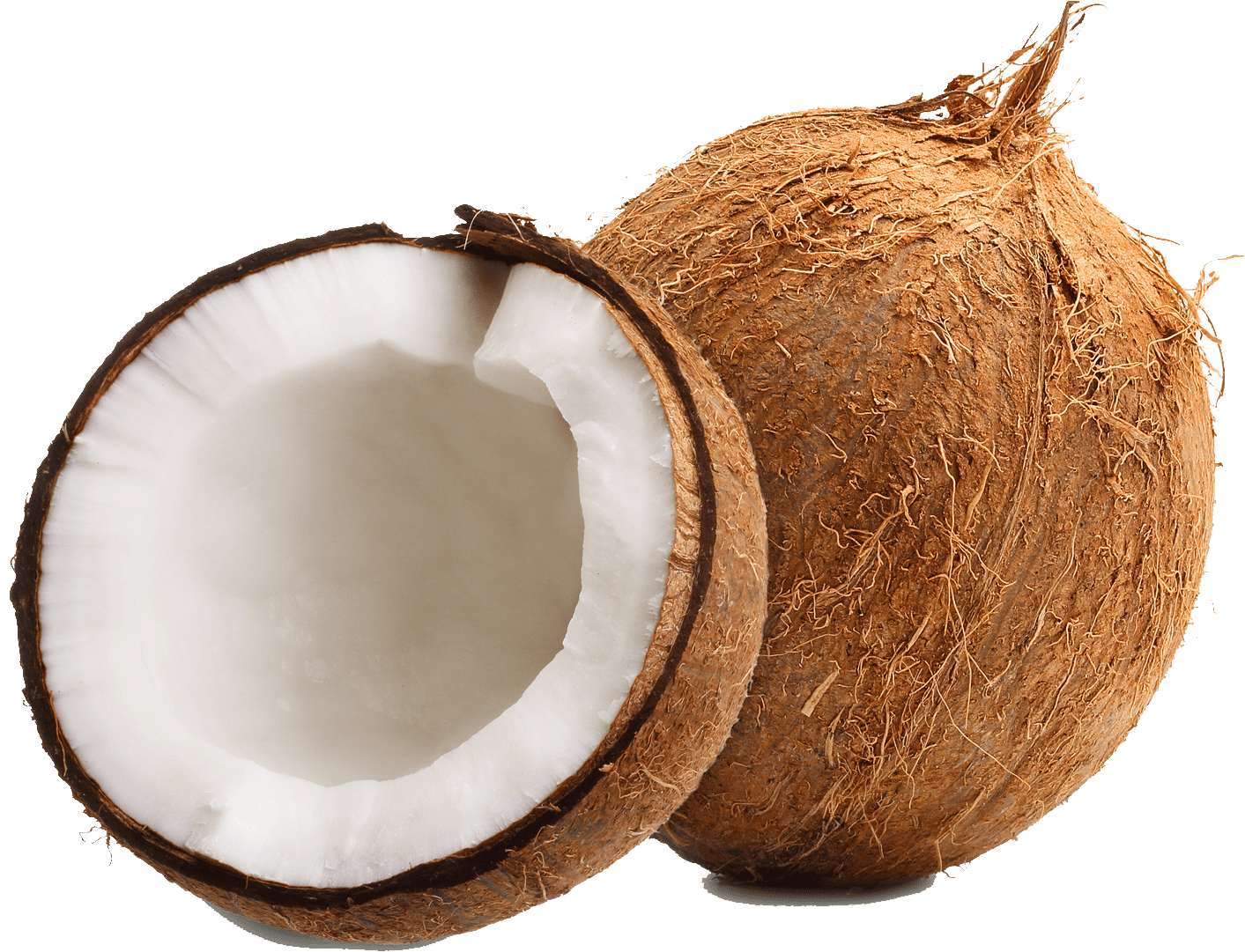Fresh-Coconut-Each-1-Count_81131765-9311