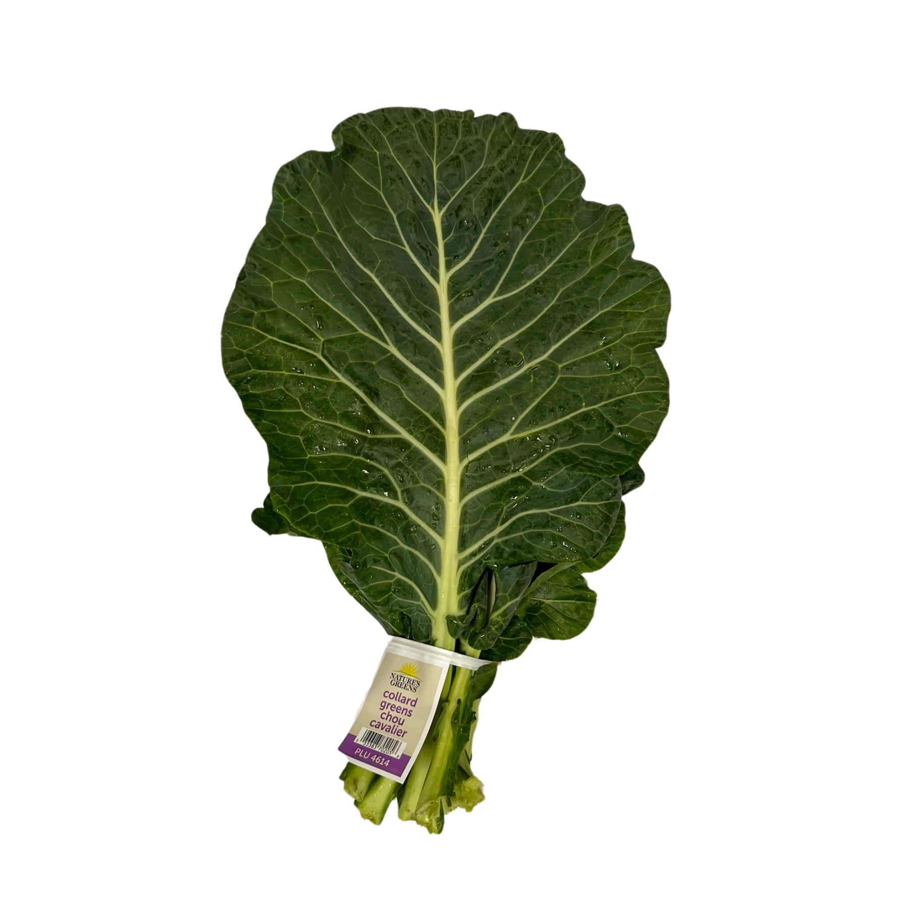 Fresh Collard Greens Bunch-Farm Fresh Leafy Vegetable
