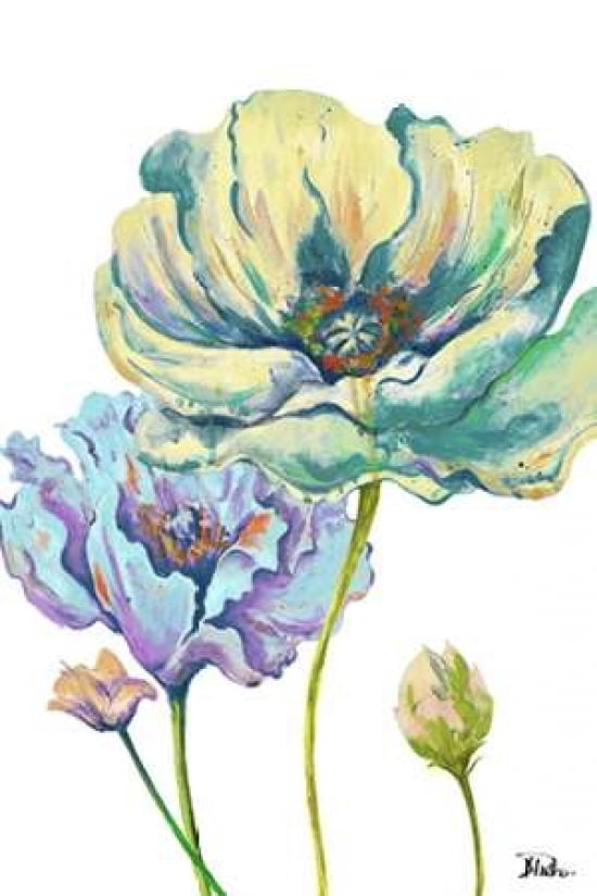 Fresh Colored Poppies II Canvas Art - Patricia Pinto (24X36)
