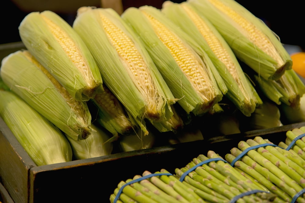 Fresh Corn On The Cob And Asparagus Seattle Washington United States Of America Canvas Art - Keith Levit Design Pics (19 x 12)