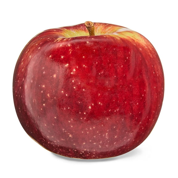 Fresh Cortland Apples, Each