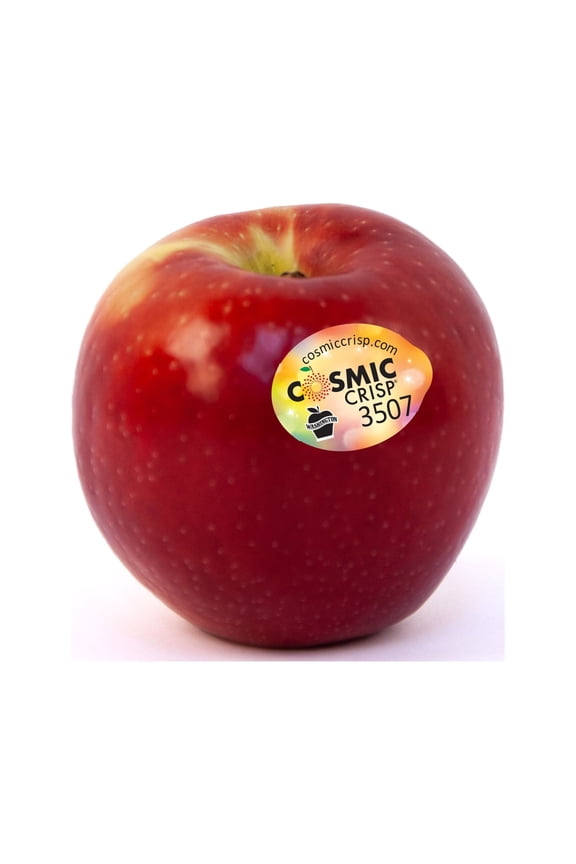 Fresh Cosmic Crisp Apple, Each