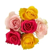 https://i5.walmartimages.com/seo/Fresh-Cut-6-Stem-Roses-Flower-Bunch-6-Stems-Colors-Vary_6434a2bc-2941-4a44-9e96-bb925d79eea0.13ad07efe892359ccf2818a385e037e0.jpeg?odnWidth=180&odnHeight=180&odnBg=ffffff