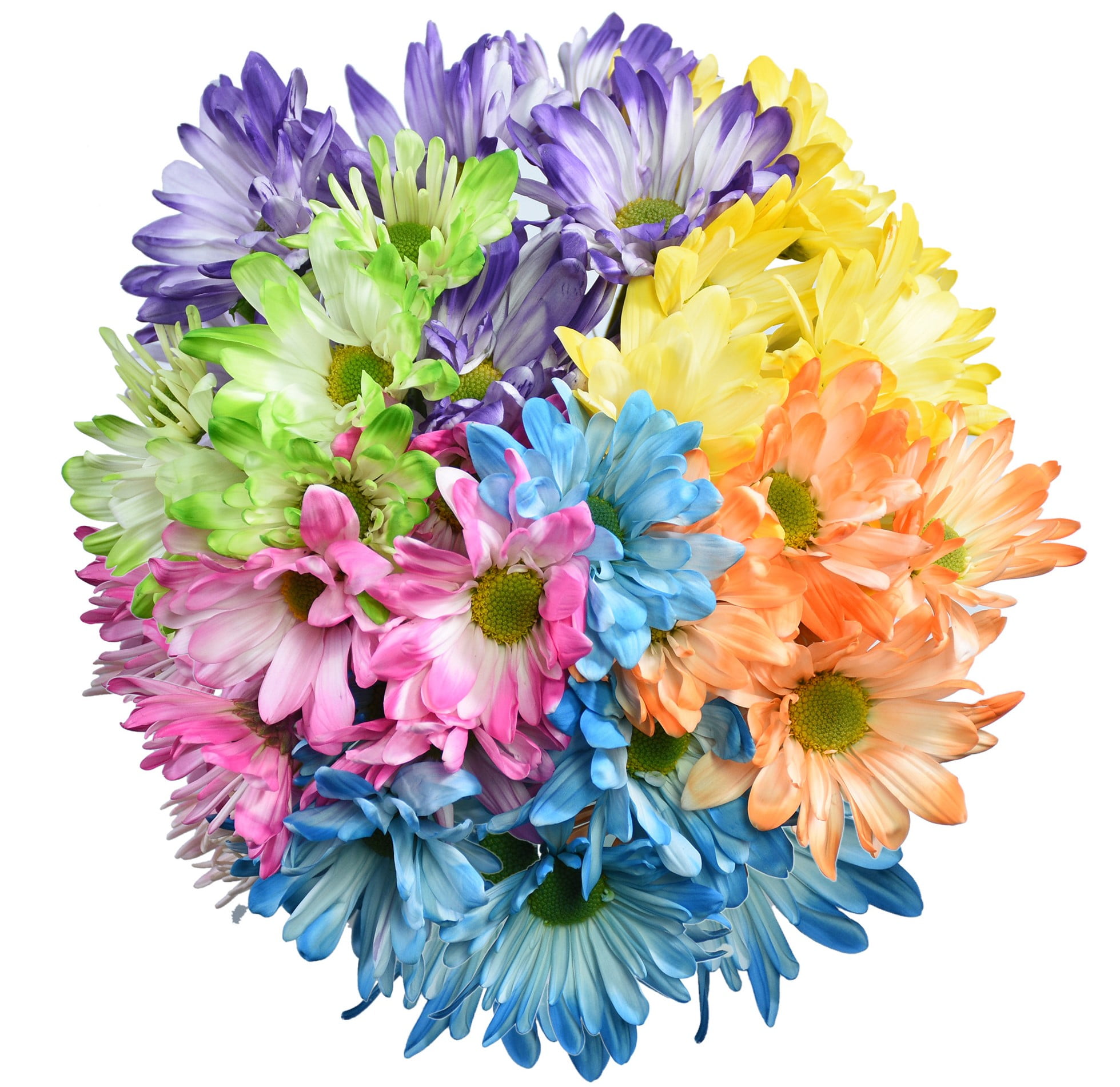 Fresh-Cut Assorted Daisy Poms Flower Bunch, Minimum Of 6 Stems, Colors ...