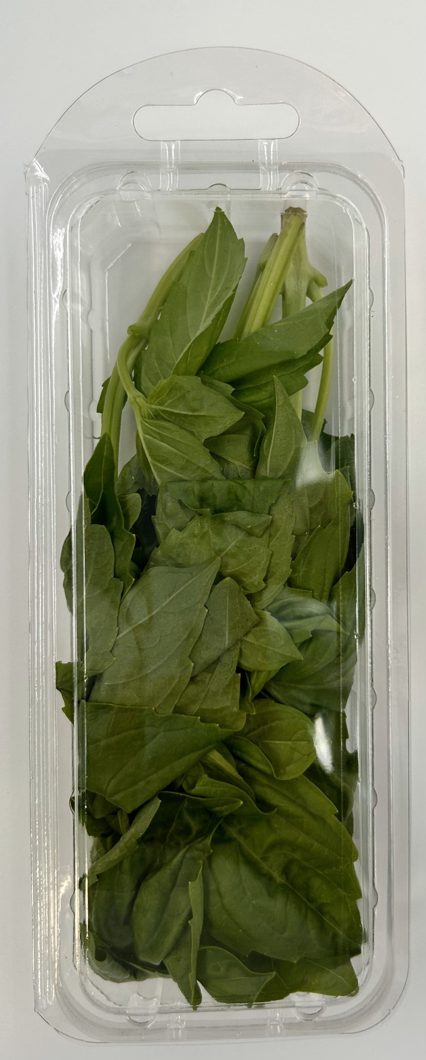 Fresh Cut Basil