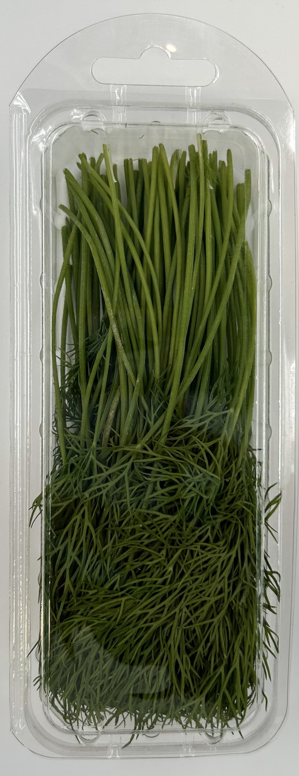 Fresh Cut Dill