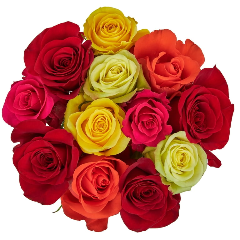 Fresh Cut Dozen Roses 12 Stems Assorted Rainbow Colors Colors